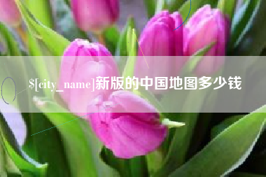 灌南新版的中国地图多少钱