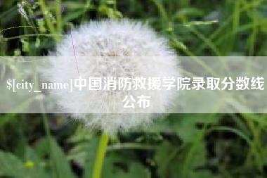 灌南中国消防救援学院录取分数线公布