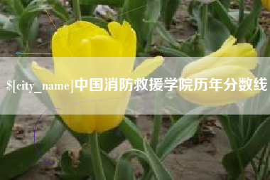 灌南中国消防救援学院历年分数线