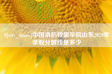 灌南中国消防救援学院山东2020年录取分数线是多少