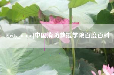 灌南中国消防救援学院百度百科