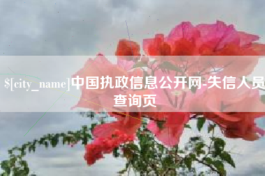 灌南中国执政信息公开网-失信人员查询页
