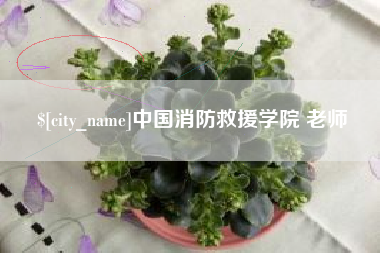 灌南中国消防救援学院 老师