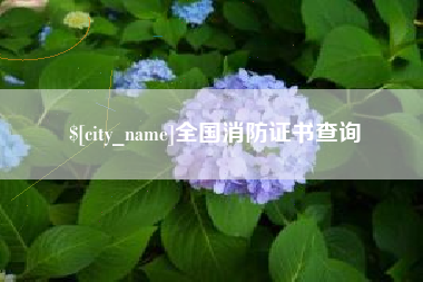 灌南全国消防证书查询