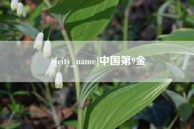 灌南中国第9金