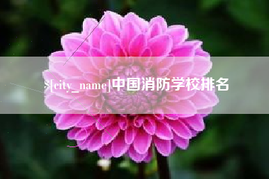 灌南中国消防学校排名