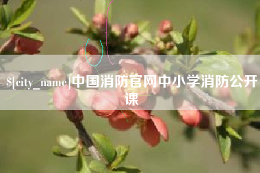 灌南中国消防官网中小学消防公开课