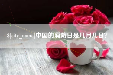 灌南中国的消防日是几月几日？