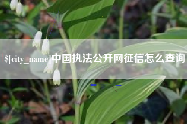 灌南中国执法公开网征信怎么查询