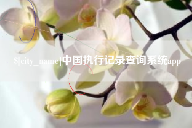 灌南中国执行记录查询系统app