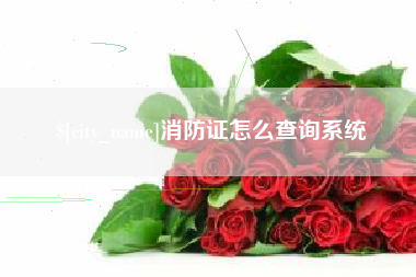 灌南消防证怎么查询系统