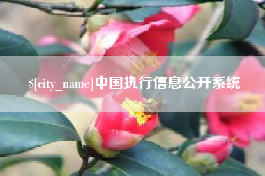 灌南中国执行信息公开系统