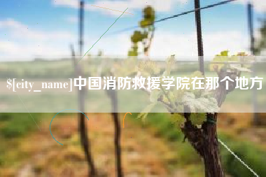 灌南中国消防救援学院在那个地方