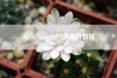 灌南2021消防分数线