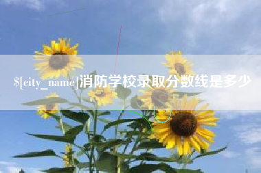 灌南消防学校录取分数线是多少