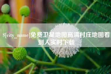 灌南免费卫星地图高清村庄地图看到人实时下载