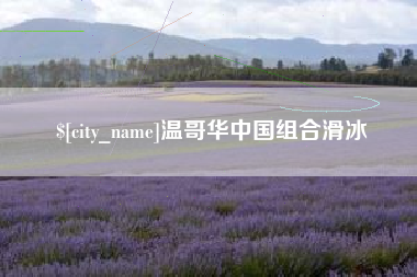 灌南温哥华中国组合滑冰