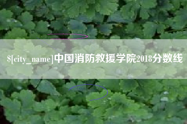 灌南中国消防救援学院2018分数线