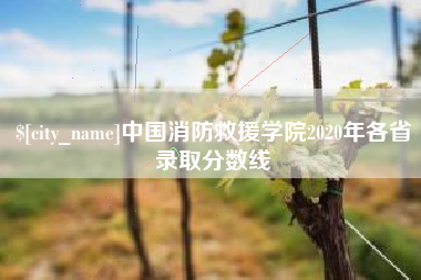 灌南中国消防救援学院2020年各省录取分数线