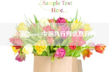 灌南中国执行网信息官网
