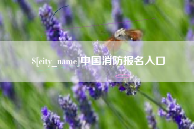 灌南中国消防报名入口