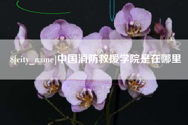 灌南中国消防救援学院是在哪里