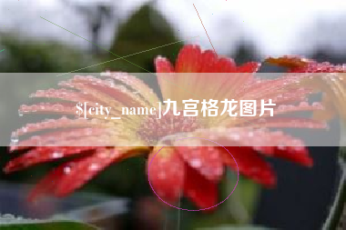 灌南九宫格龙图片
