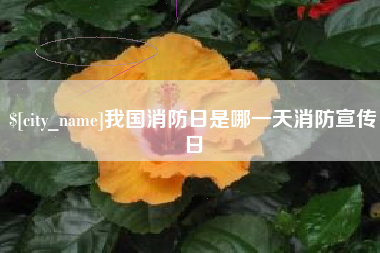 灌南我国消防日是哪一天消防宣传日