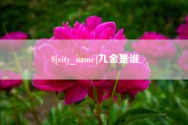 灌南九金是谁
