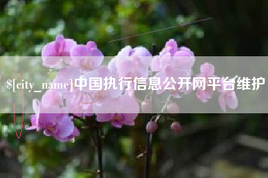 灌南中国执行信息公开网平台维护