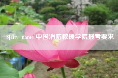 灌南中国消防救援学院报考要求
