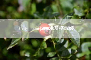 灌南5000米及格成绩
