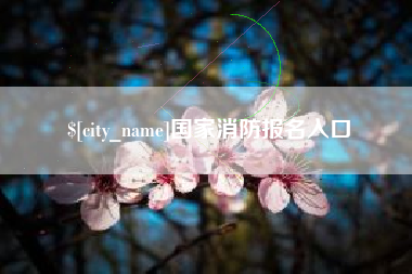 灌南国家消防报名入口