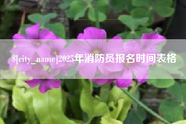 灌南2025年消防员报名时间表格