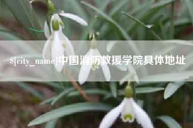 灌南中国消防救援学院具体地址