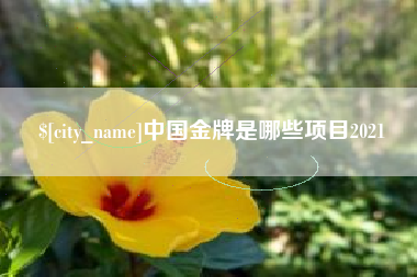 灌南中国金牌是哪些项目2021