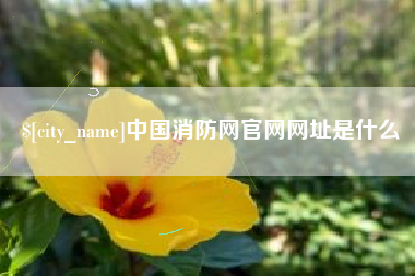灌南中国消防网官网网址是什么