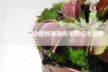 灌南中国救援消防学院招生简章