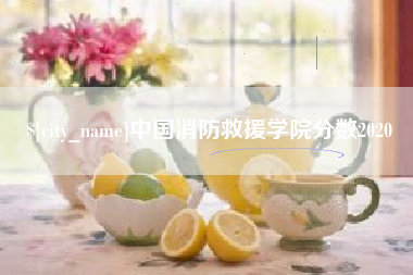 灌南中国消防救援学院分数2020