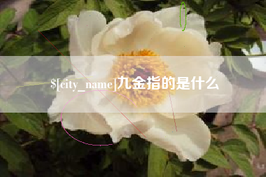 灌南九金指的是什么