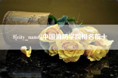 灌南中国消防学院排名前十