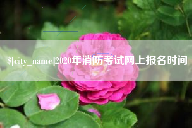 灌南2020年消防考试网上报名时间