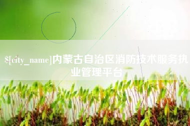 灌南内蒙古自治区消防技术服务执业管理平台