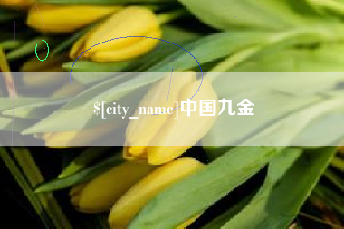 灌南中国九金