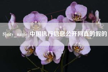 灌南中国执行信息公开网真的假的