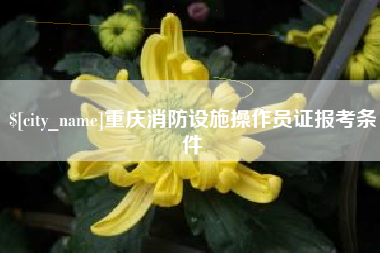 灌南重庆消防设施操作员证报考条件