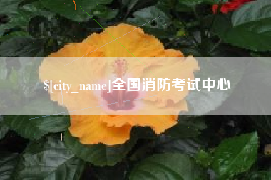 灌南全国消防考试中心