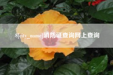 灌南消防证查询网上查询