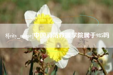 灌南中国消防救援学院属于985吗