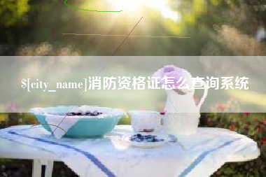 灌南消防资格证怎么查询系统